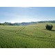 Properties for Sale_Farmhouses to restore_OLD COUNTRY HOUSE IN PANORAMIC POSITION IN LE MARCHE Farmhouse to restore with beautiful views of the surrounding hills for sale in Italy in Le Marche_21